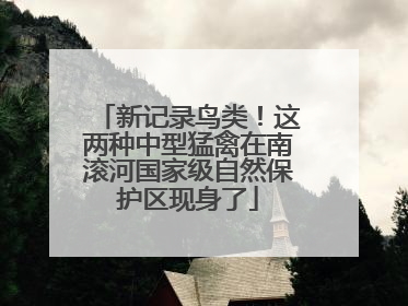新记录鸟类！这两种中型猛禽在南滚河国家级自然保护区现身了