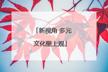 新视角 多元文化壁上观