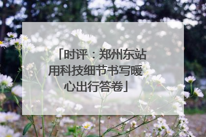 时评：郑州东站用科技细节书写暖心出行答卷