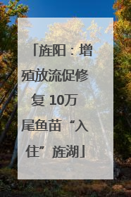 旌阳：增殖放流促修复 10万尾鱼苗“入住”旌湖