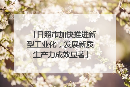日照市加快推进新型工业化，发展新质生产力成效显著