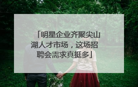 明星企业齐聚尖山湖人才市场，这场招聘会需求真挺多