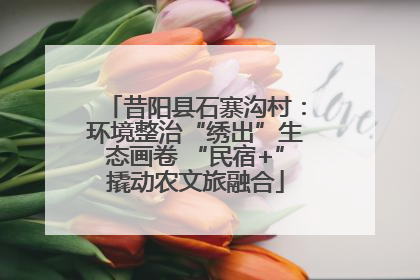 昔阳县石寨沟村：环境整治“绣出”生态画卷 “民宿+”撬动农文旅融合