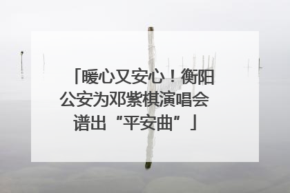 暖心又安心！衡阳公安为邓紫棋演唱会谱出“平安曲”