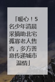 暖心！5名少年清晨采摘助北宅孤寡老人售杏，多方善意传递城市温情