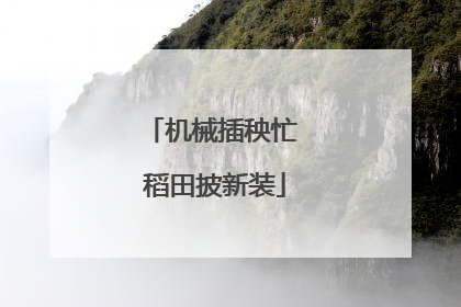 机械插秧忙 稻田披新装