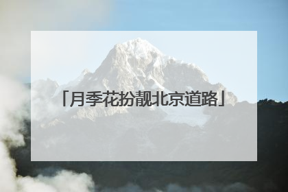 月季花扮靓北京道路