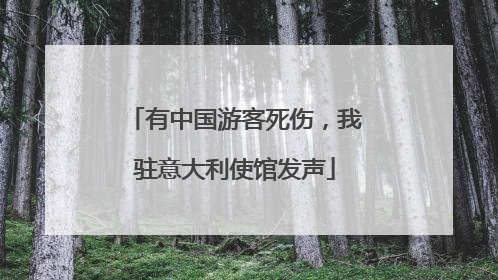 有中国游客死伤，我驻意大利使馆发声