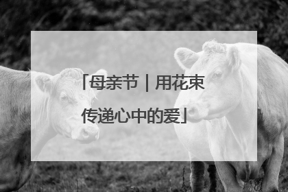 母亲节｜用花束传递心中的爱