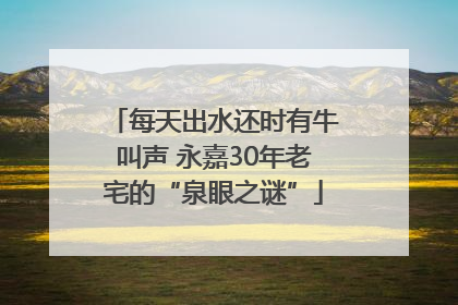 每天出水还时有牛叫声 永嘉30年老宅的“泉眼之谜”