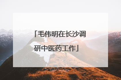 毛伟明在长沙调研中医药工作