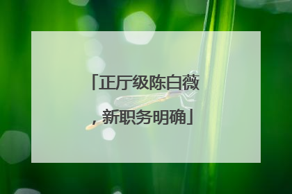 正厅级陈白薇，新职务明确