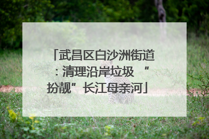 武昌区白沙洲街道：清理沿岸垃圾 “扮靓”长江母亲河