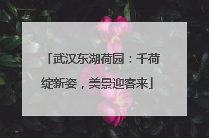 武汉东湖荷园：千荷绽新姿，美景迎客来