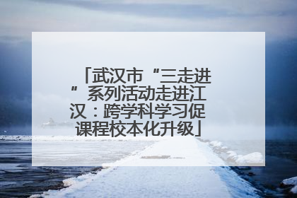 武汉市“三走进”系列活动走进江汉：跨学科学习促课程校本化升级