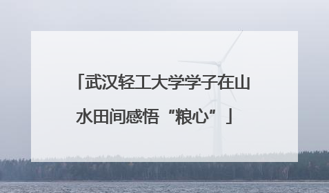 武汉轻工大学学子在山水田间感悟“粮心”