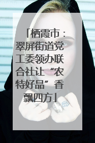 栖霞市：翠屏街道党工委领办联合社让“农特好品”香飘四方