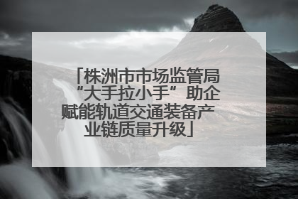 株洲市市场监管局“大手拉小手”助企赋能轨道交通装备产业链质量升级
