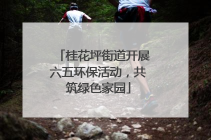 桂花坪街道开展六五环保活动，共筑绿色家园