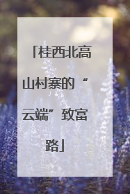桂西北高山村寨的“云端”致富路