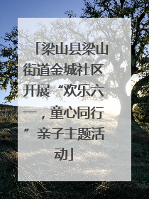 梁山县梁山街道金城社区开展“欢乐六一，童心同行”亲子主题活动