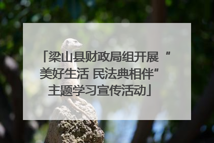 梁山县财政局组开展“美好生活 民法典相伴”主题学习宣传活动