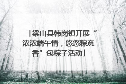 梁山县韩岗镇开展“浓浓端午情，悠悠粽意香”包粽子活动
