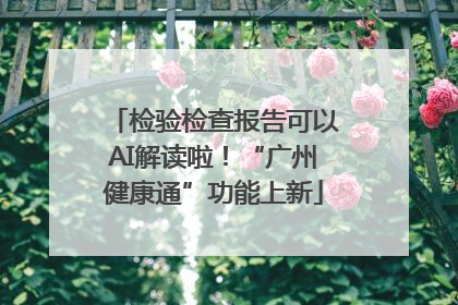 检验检查报告可以AI解读啦！“广州健康通”功能上新