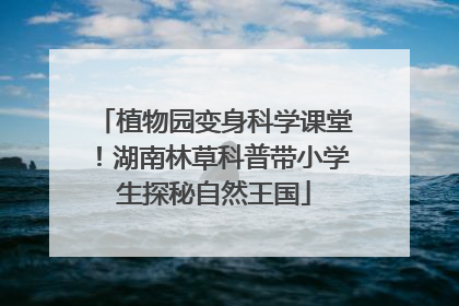 植物园变身科学课堂！湖南林草科普带小学生探秘自然王国