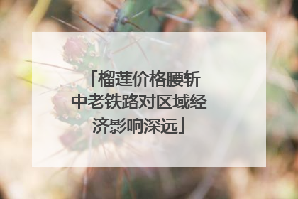 榴莲价格腰斩 中老铁路对区域经济影响深远