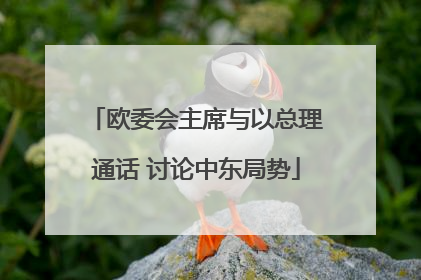 欧委会主席与以总理通话 讨论中东局势
