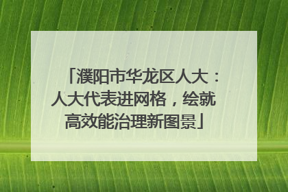 濮阳市华龙区人大：人大代表进网格，绘就高效能治理新图景