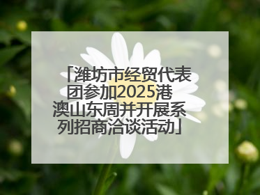 潍坊市经贸代表团参加2025港澳山东周并开展系列招商洽谈活动