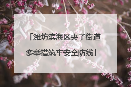 潍坊滨海区央子街道多举措筑牢安全防线