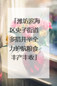 潍坊滨海区央子街道多措并举全力护航粮食丰产丰收