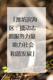 潍坊滨海区：撬动志愿服务力量 助力社会和谐发展