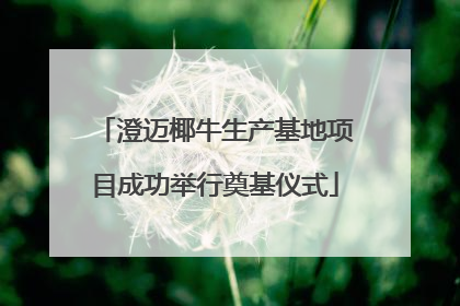 澄迈椰牛生产基地项目成功举行奠基仪式