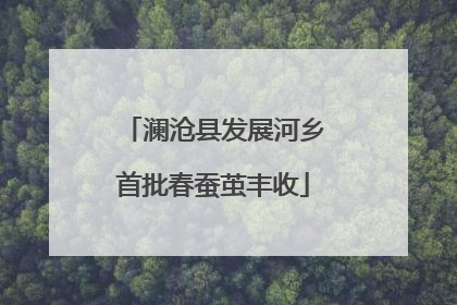 澜沧县发展河乡首批春蚕茧丰收