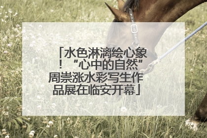 水色淋漓绘心象！“心中的自然”周崇涨水彩写生作品展在临安开幕