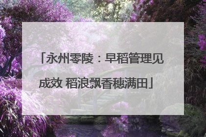 永州零陵：早稻管理见成效 稻浪飘香穗满田