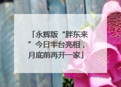 永辉版“胖东来”今日丰台亮相，月底前再开一家