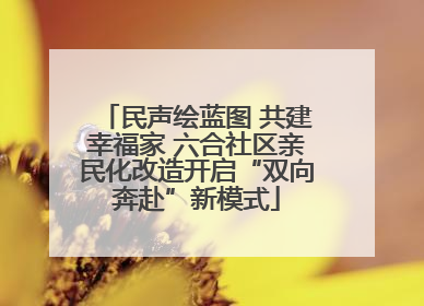 民声绘蓝图 共建幸福家 六合社区亲民化改造开启“双向奔赴”新模式