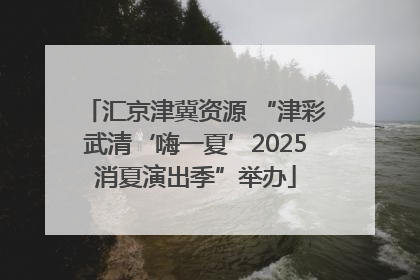 汇京津冀资源 “津彩武清‘嗨一夏’2025消夏演出季”举办