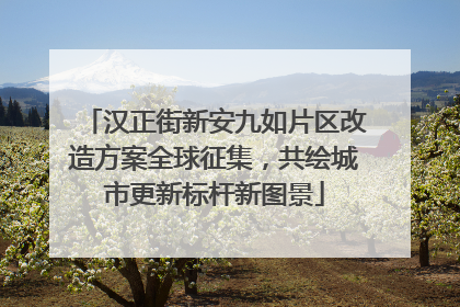 汉正街新安九如片区改造方案全球征集，共绘城市更新标杆新图景