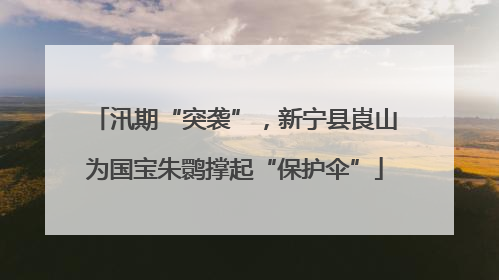 汛期“突袭”，新宁县崀山为国宝朱鹮撑起“保护伞”