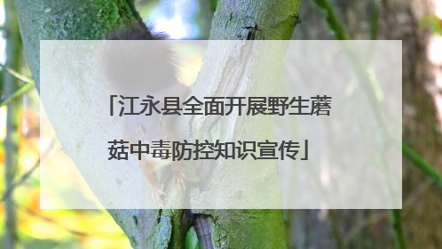 江永县全面开展野生蘑菇中毒防控知识宣传