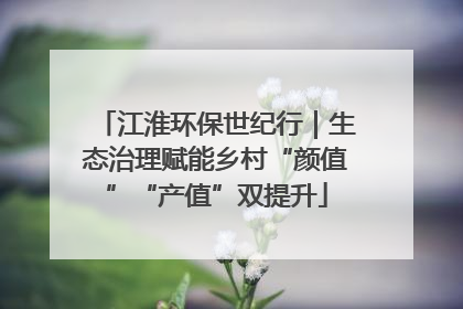 江淮环保世纪行｜生态治理赋能乡村“颜值”“产值”双提升