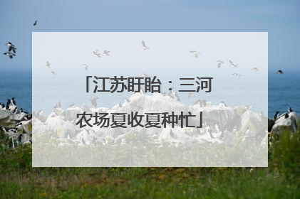 江苏盱眙：三河农场夏收夏种忙