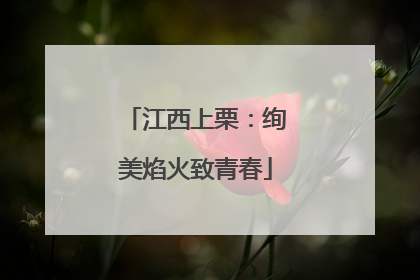 江西上栗：绚美焰火致青春