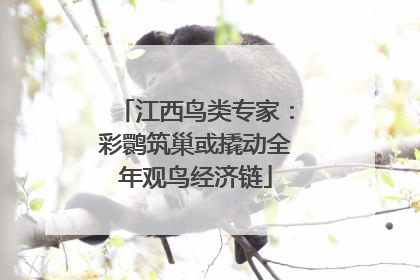 江西鸟类专家：彩鹮筑巢或撬动全年观鸟经济链